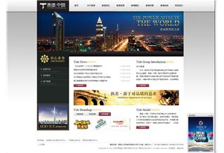 泰德（中國）控股集團